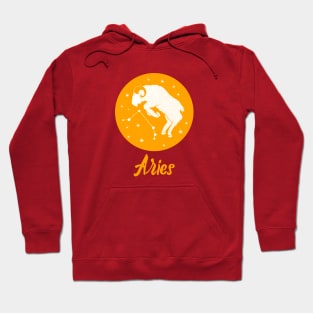 ARIES Hoodie